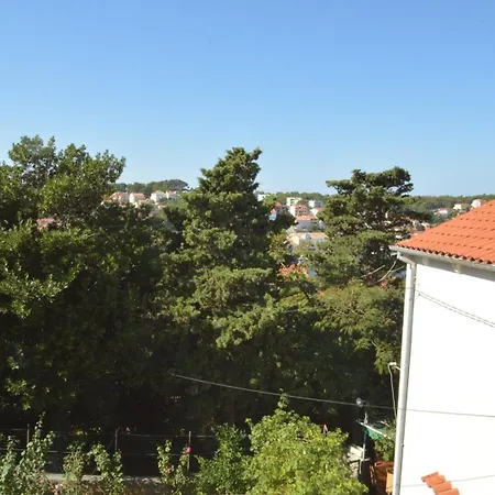 Pensiune House Orhideja