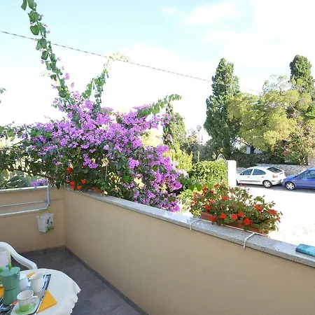 Πανσιόν House Orhideja 3*